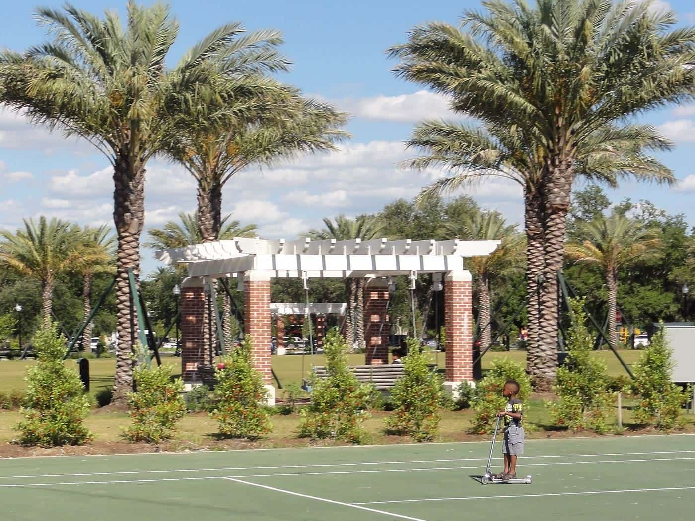 A boy riding a kick scooter on a park path lined with palm trees